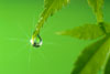 ISO14001�̎��g��